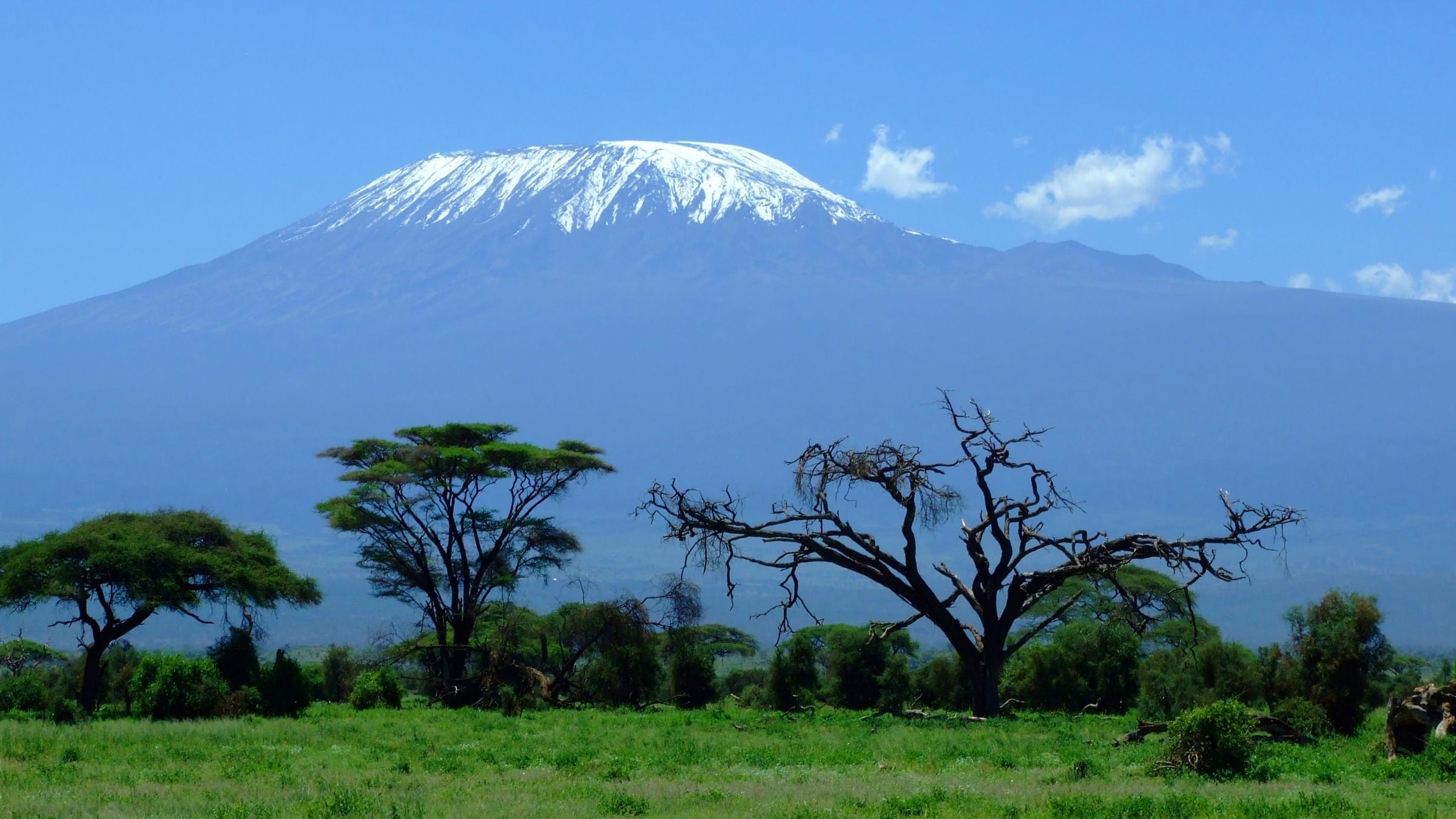 Kilimanjaro scenery