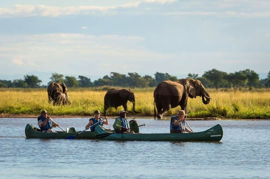 Boat Safaris — A Journey Through Untamed Waters