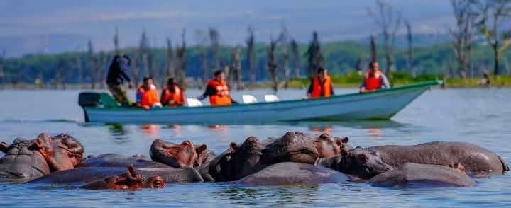 Boat Safaris — A Journey Through Untamed Waters