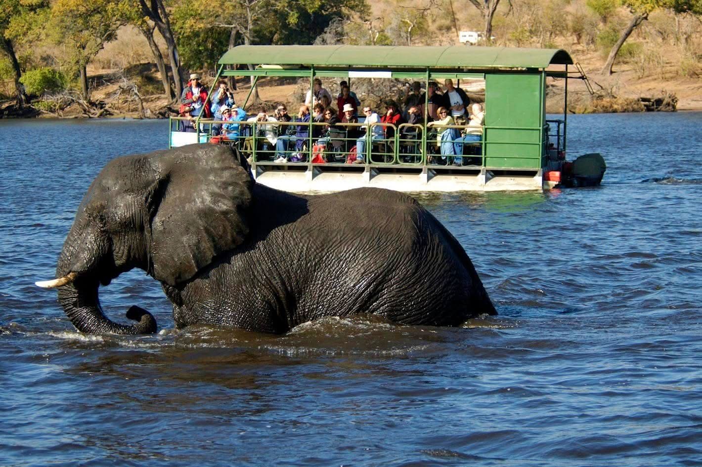 Boat Safaris — A Journey Through Untamed Waters