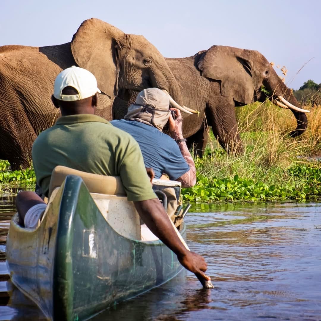 Boat Safaris — A Journey Through Untamed Waters