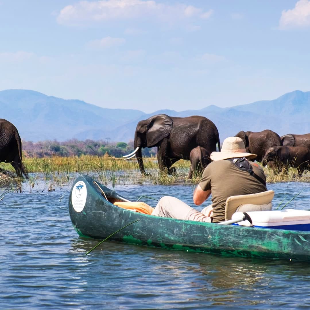 Boat Safaris — A Journey Through Untamed Waters