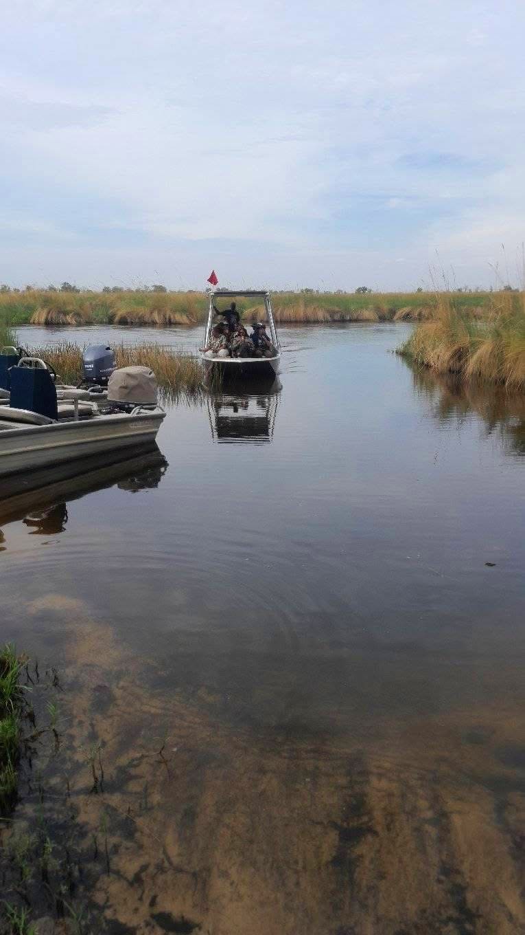 Boat Safaris — A Journey Through Untamed Waters