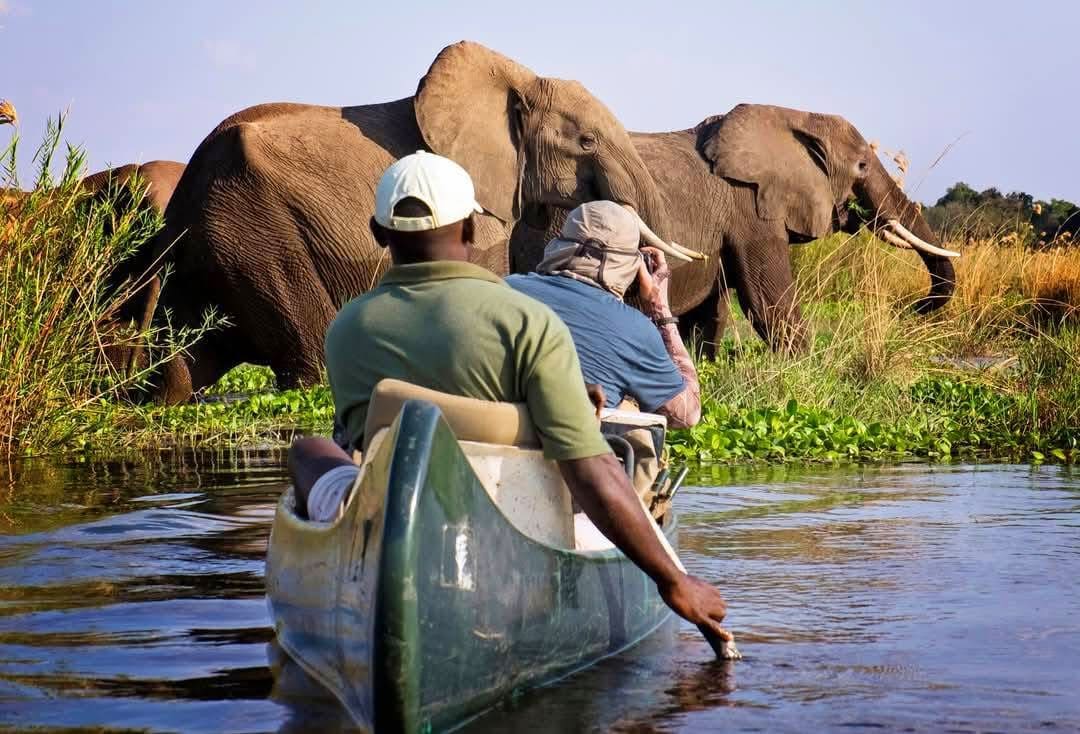 Boat Safaris — A Journey Through Untamed Waters