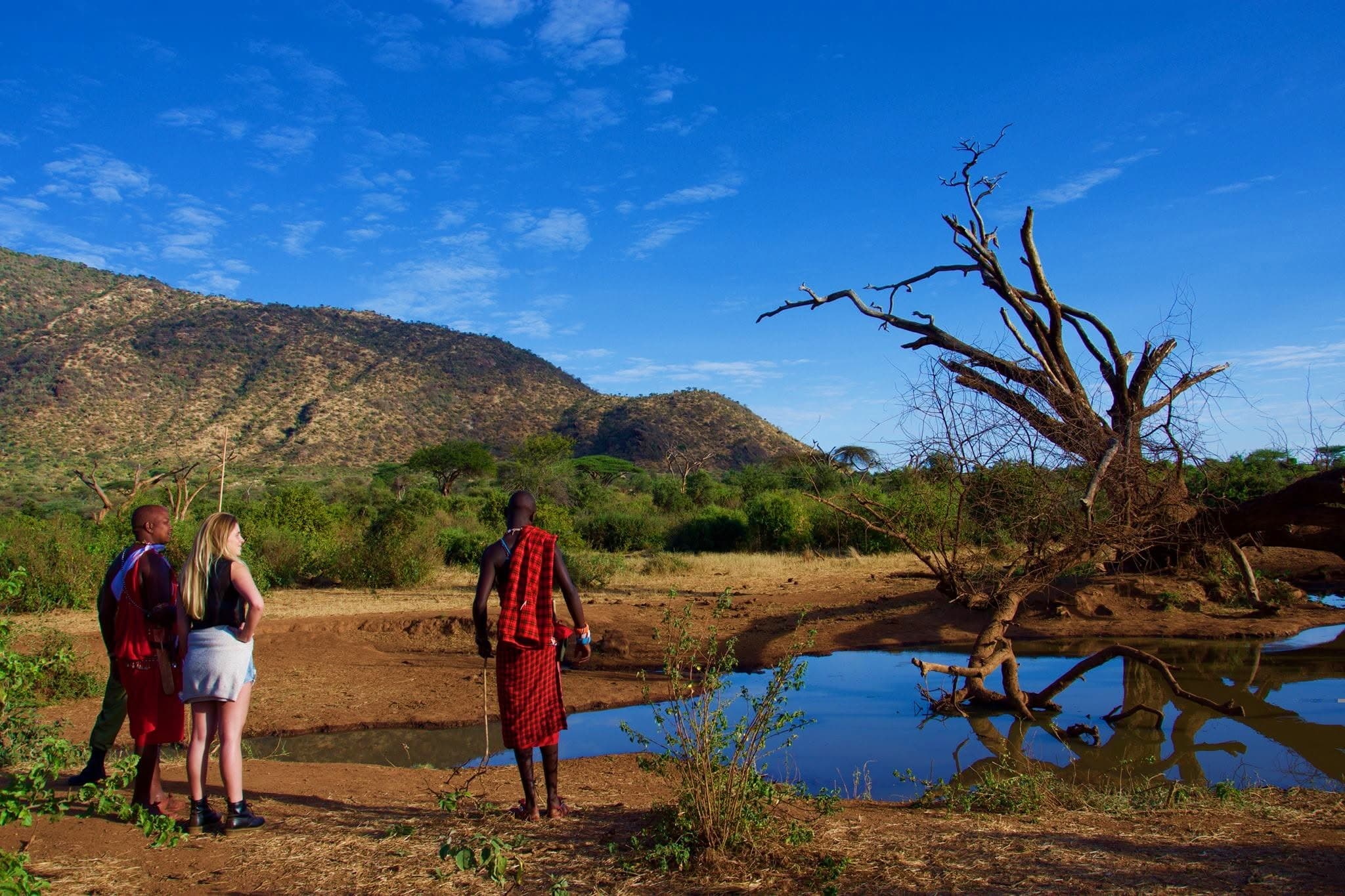 Guided bush walks