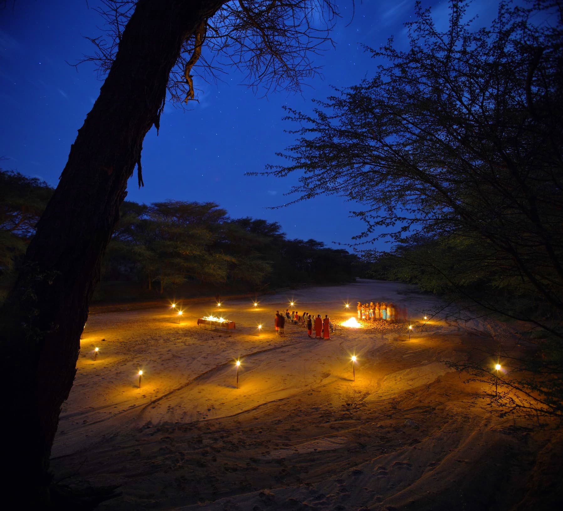 Bush Dining — A Gourmet Experience in the Wild