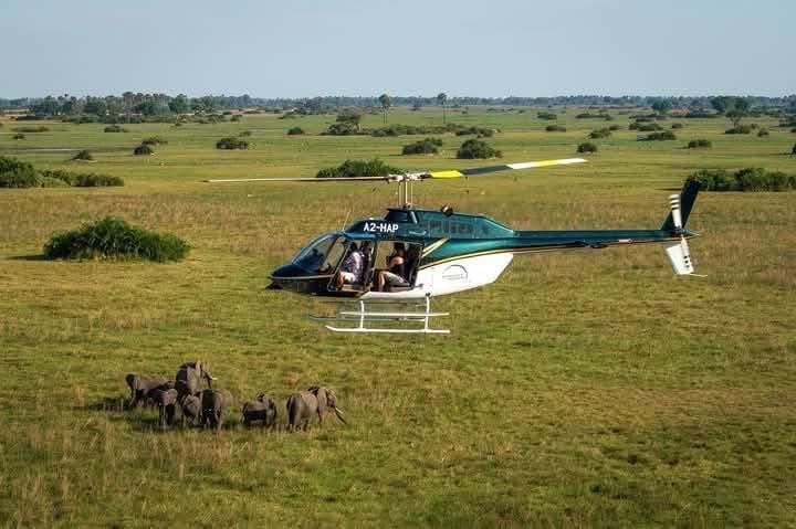 Helicopter Safaris