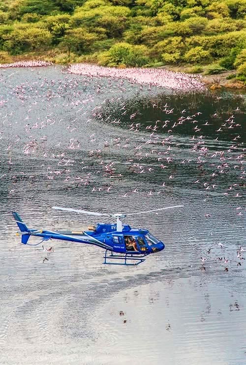 Helicopter Safaris — A Breathtaking Aerial Adventure