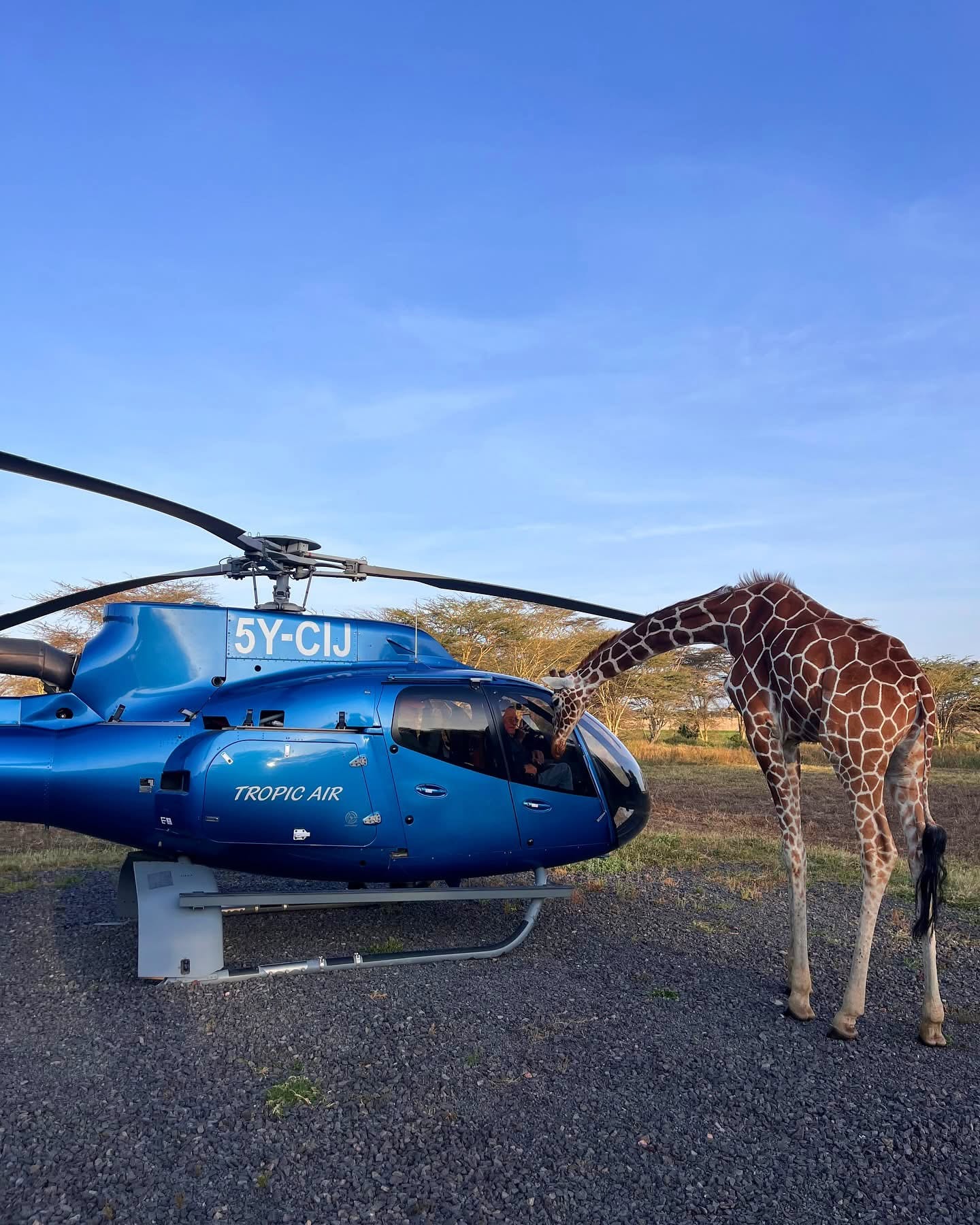 Helicopter Safaris — A Breathtaking Aerial Adventure