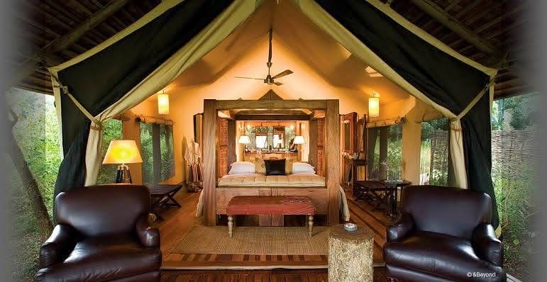 Honeymoon Safaris — A Romantic Journey into the Wild