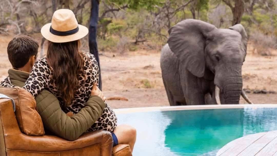 Honeymoon Safaris — A Romantic Journey into the Wild
