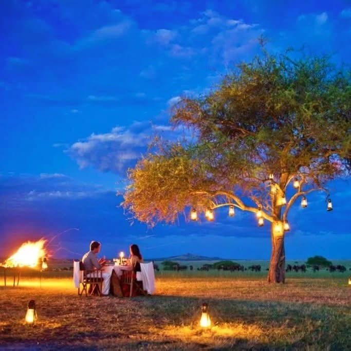 Honeymoon Safaris — A Romantic Journey into the Wild