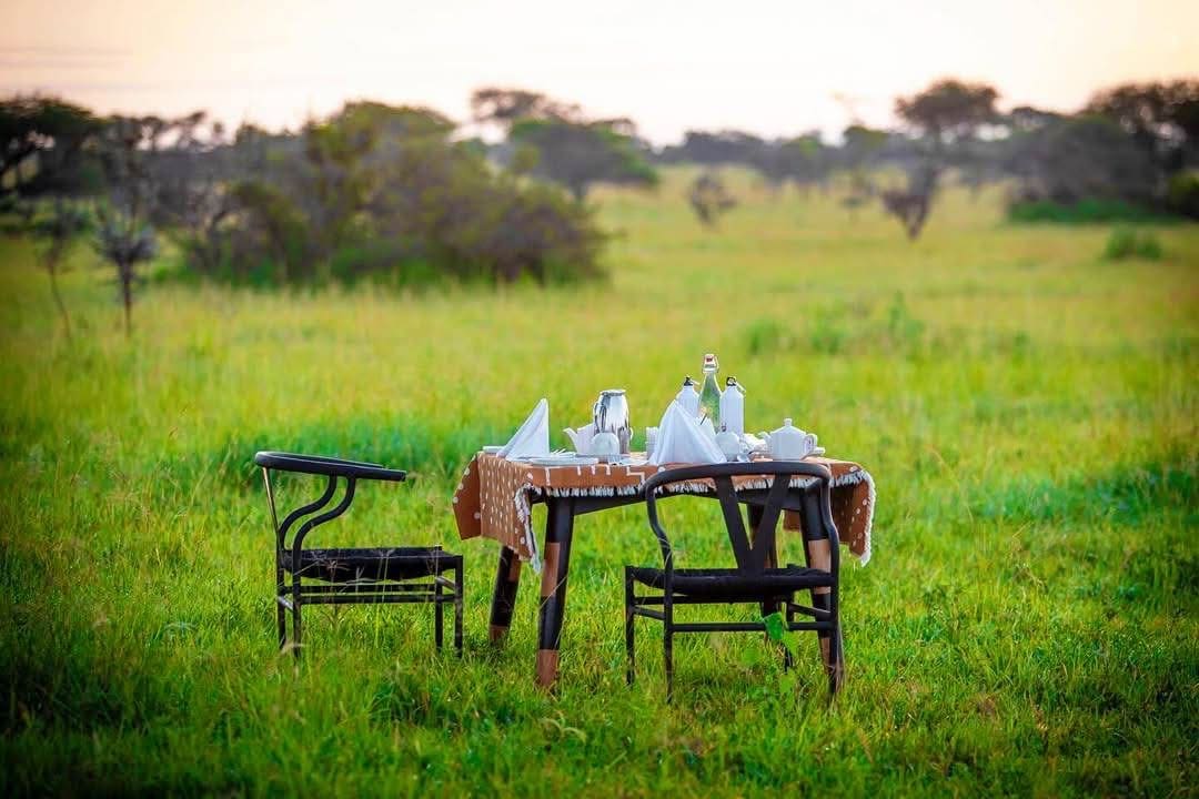 Honeymoon Safaris — A Romantic Journey into the Wild