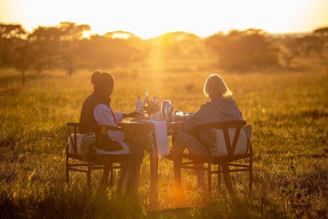 Honeymoon Safaris — A Romantic Journey into the Wild