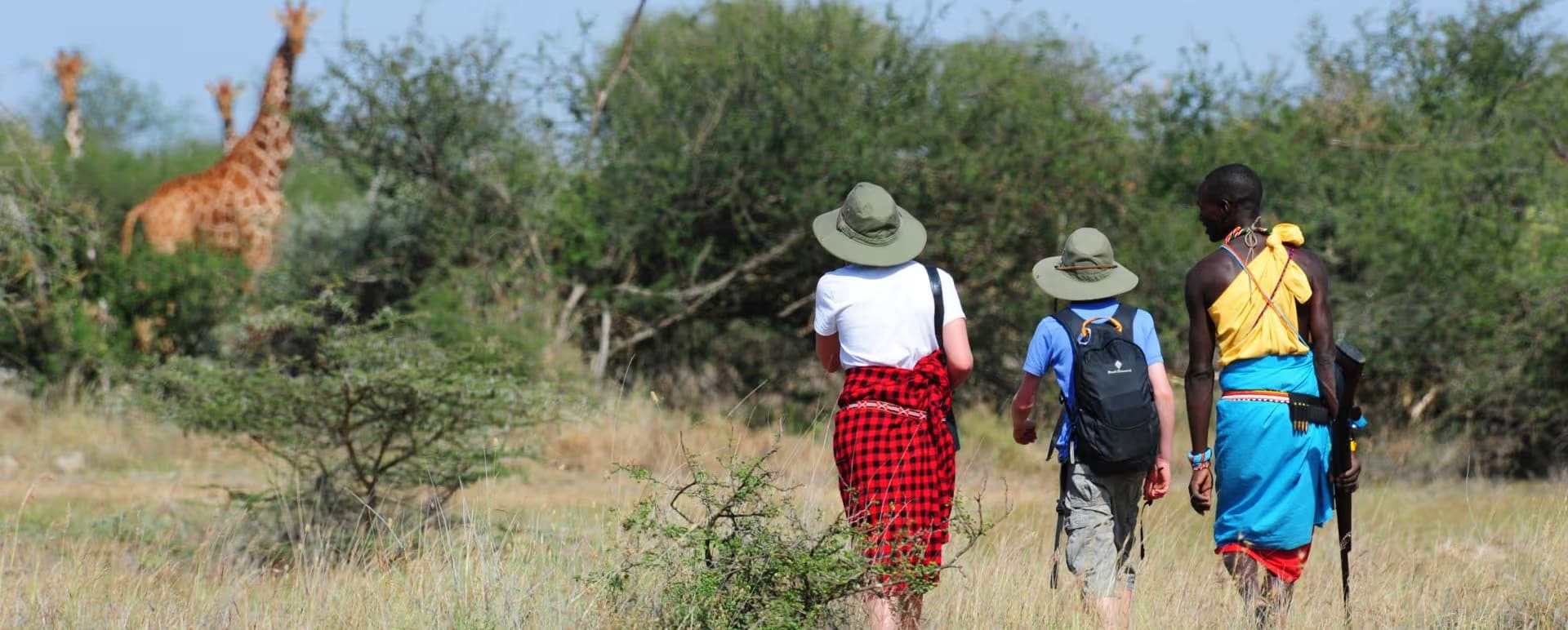Guided walking safaris