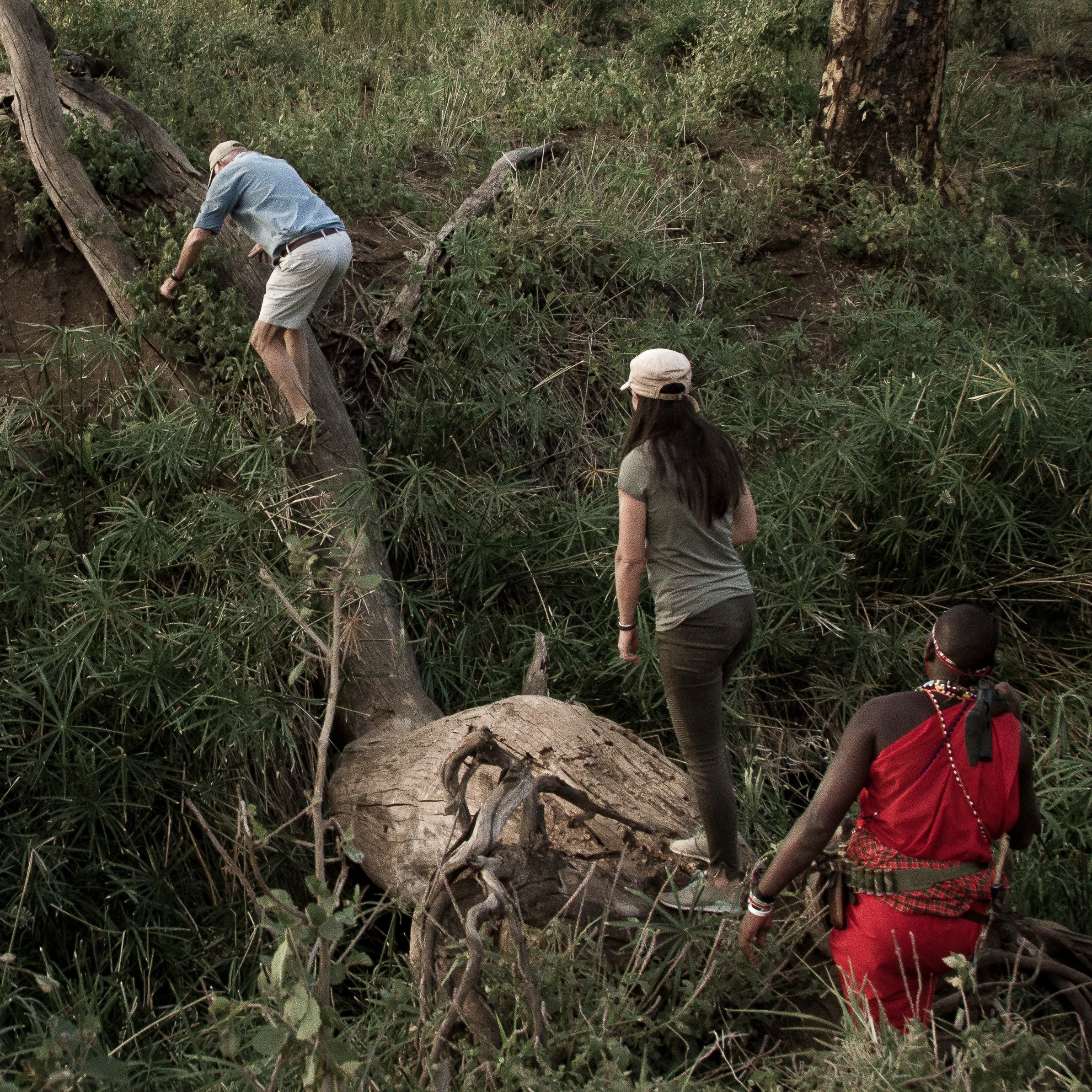 Guided bush walks
