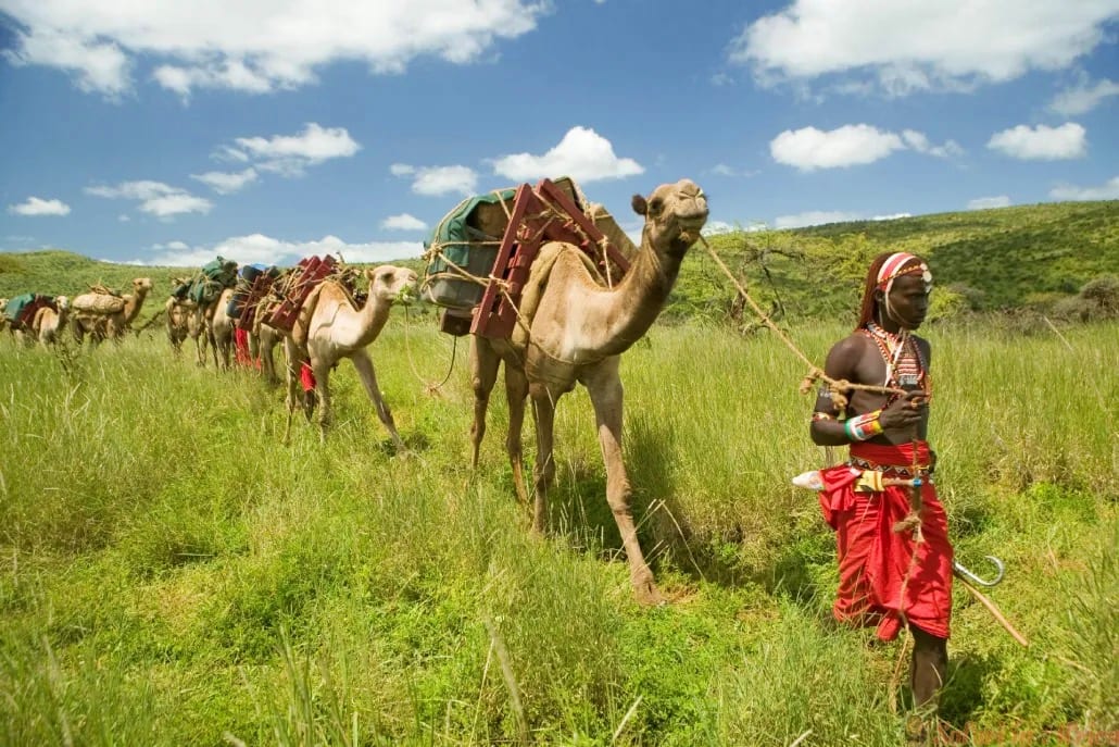 Cultural & Community Visits