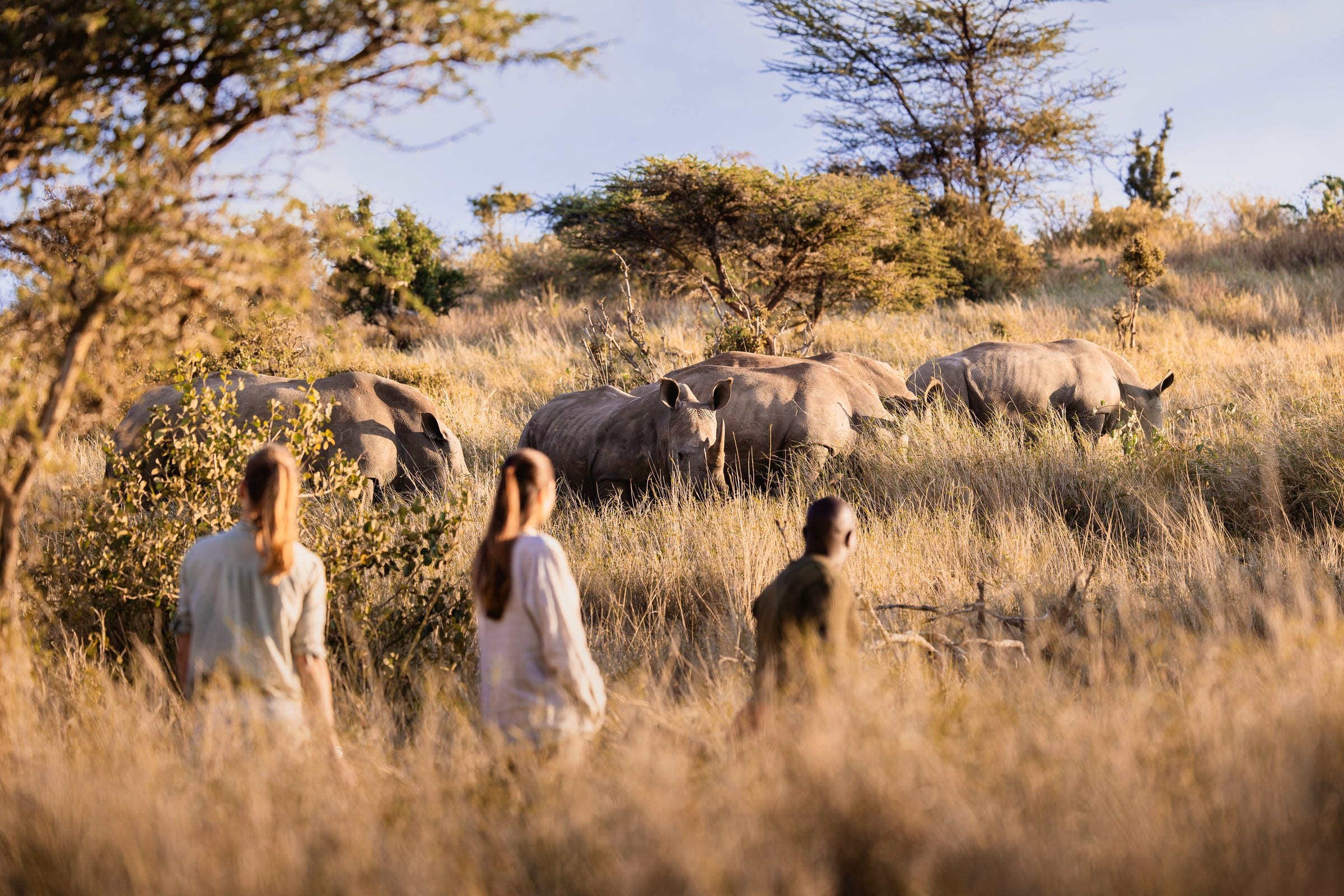 Wildlife with purpose