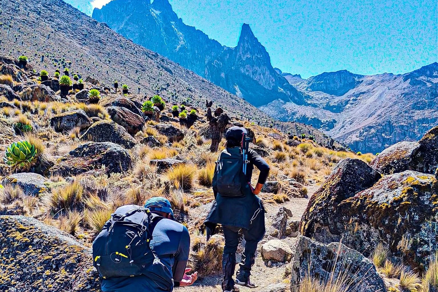 Mount Kenya trekking