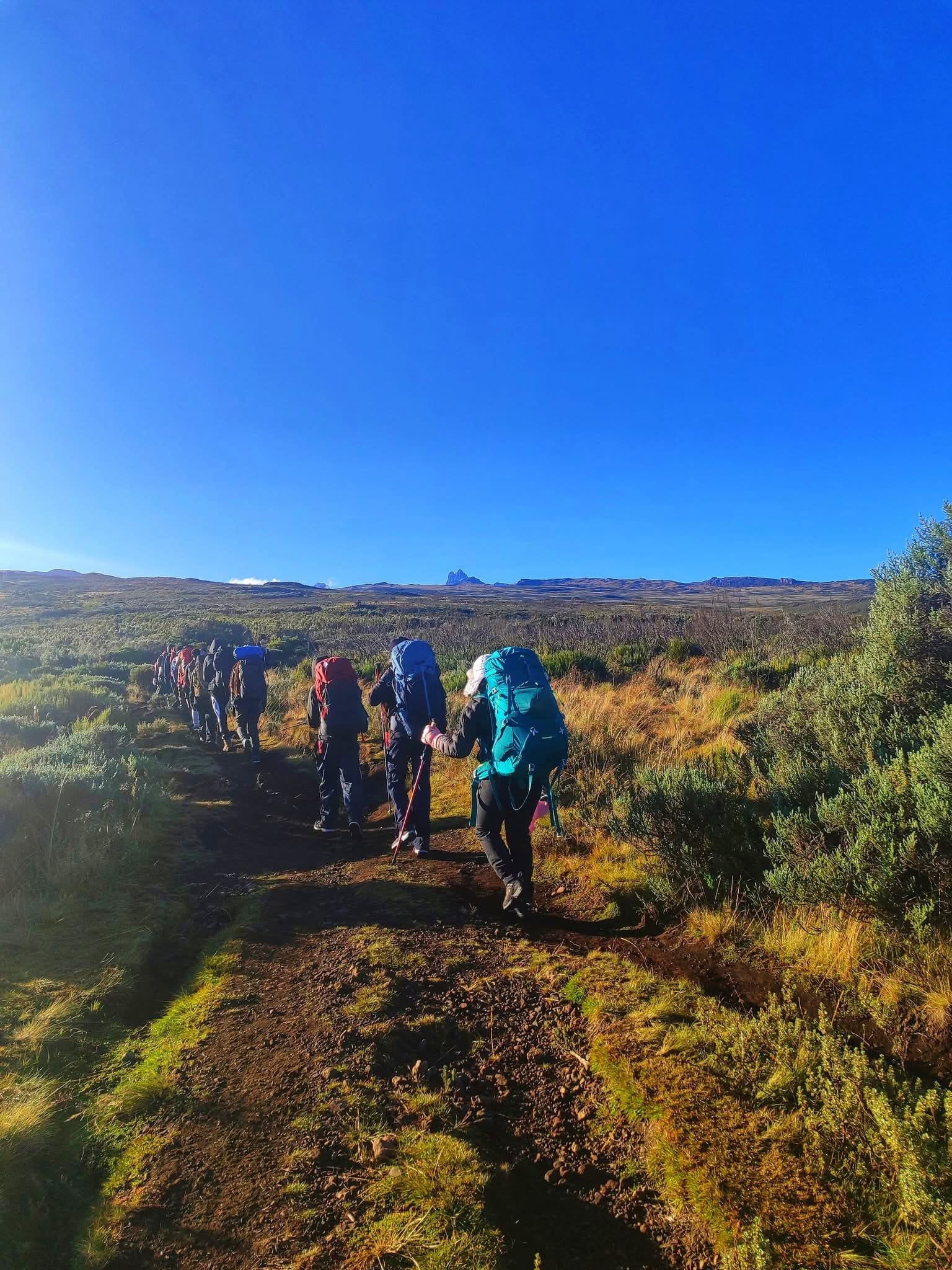 Mountain Climbing — A Safari Beyond the Wild