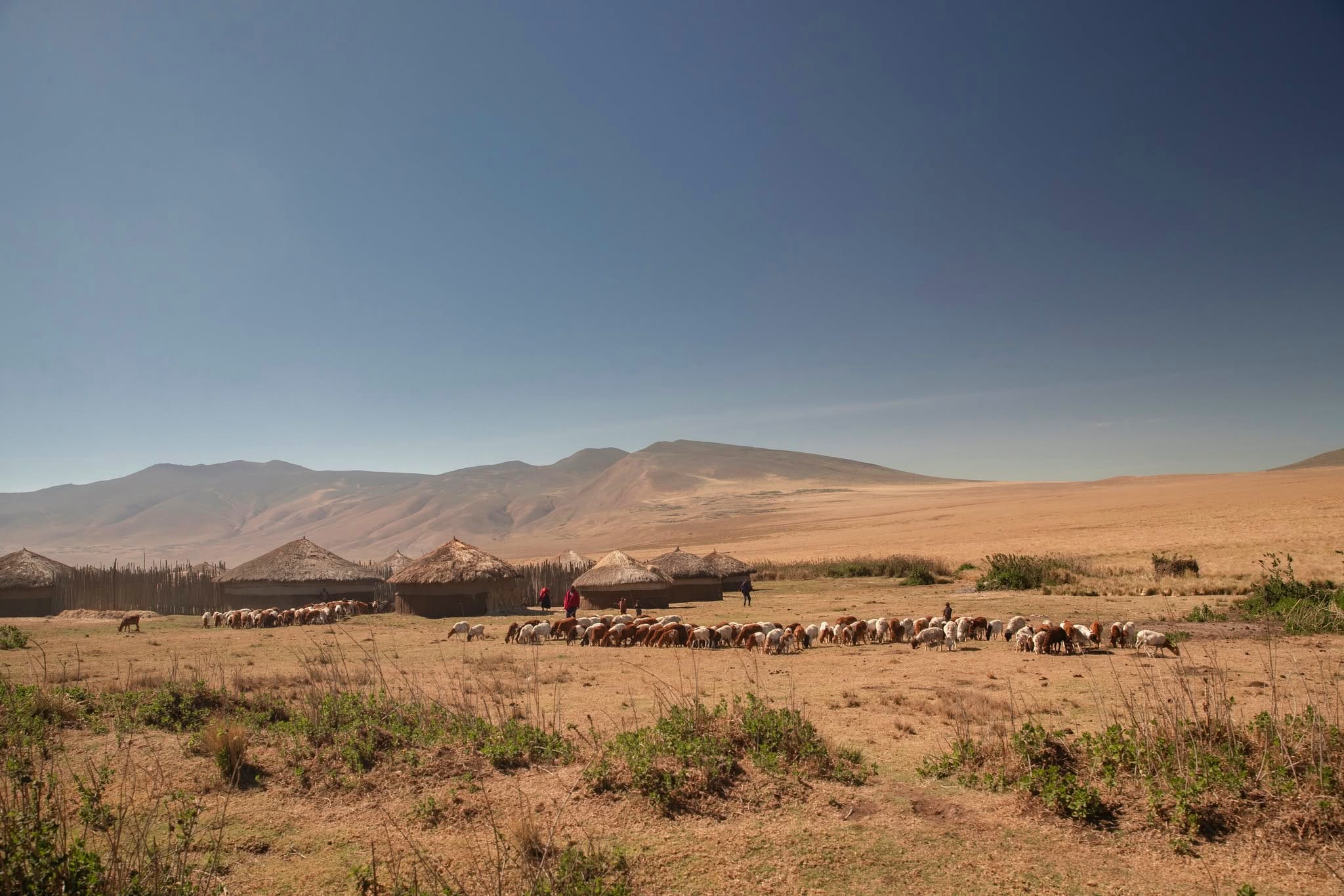 Maasai cultural visits