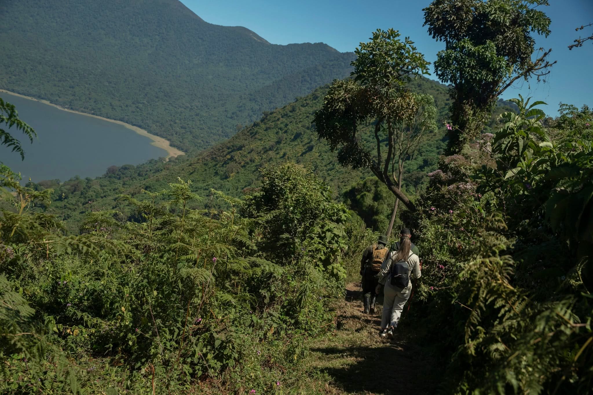 Guided rim walks