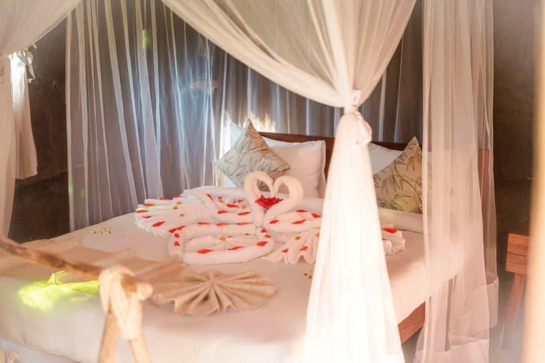 Safari Weddings — A Magical Union in the Wild