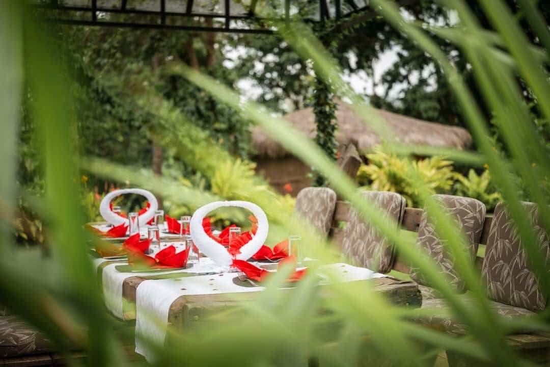Safari Weddings — A Magical Union in the Wild