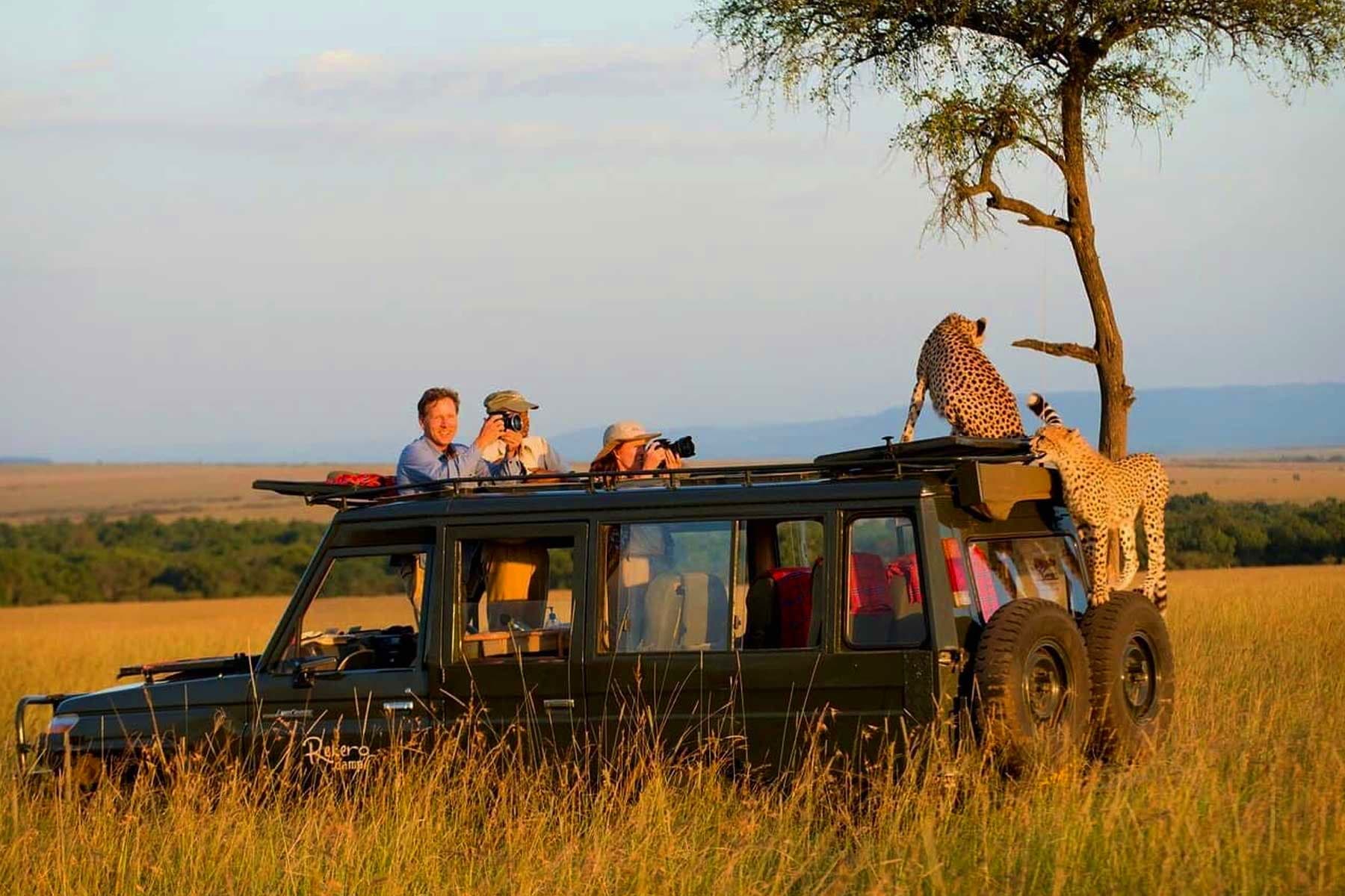 Game drives