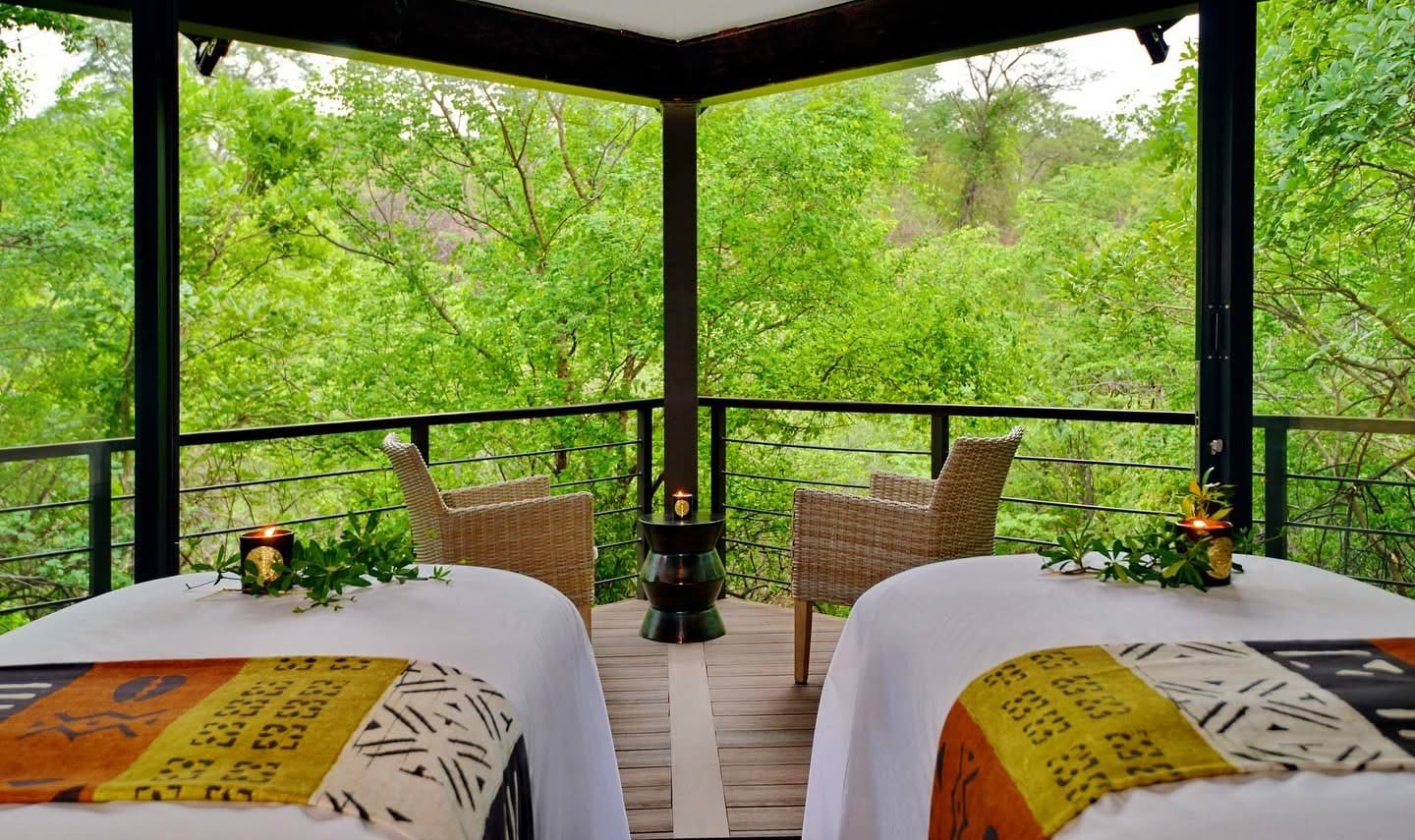 Spa Treatments — Rejuvenation in the Wild