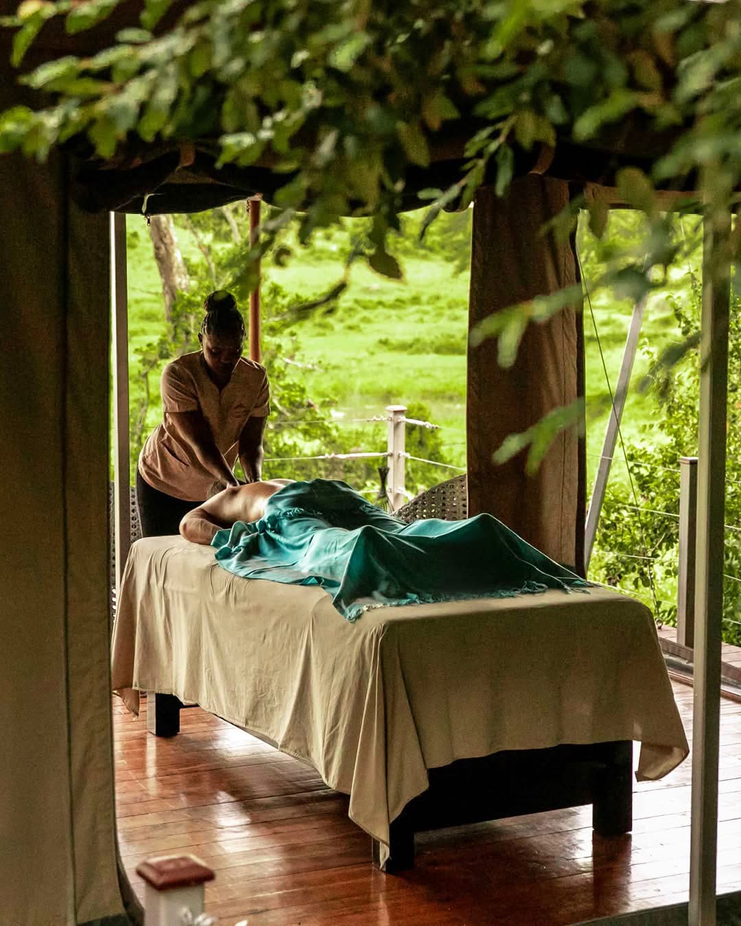 Spa Treatments — Rejuvenation in the Wild