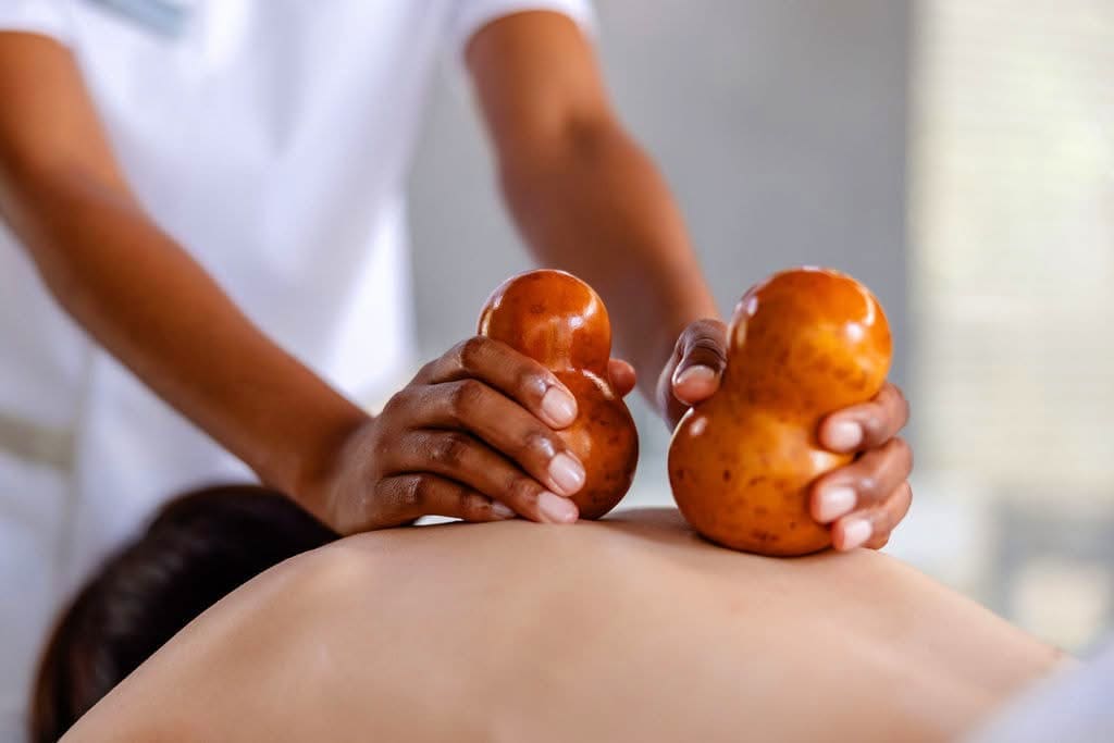 Spa Treatments — Rejuvenation in the Wild