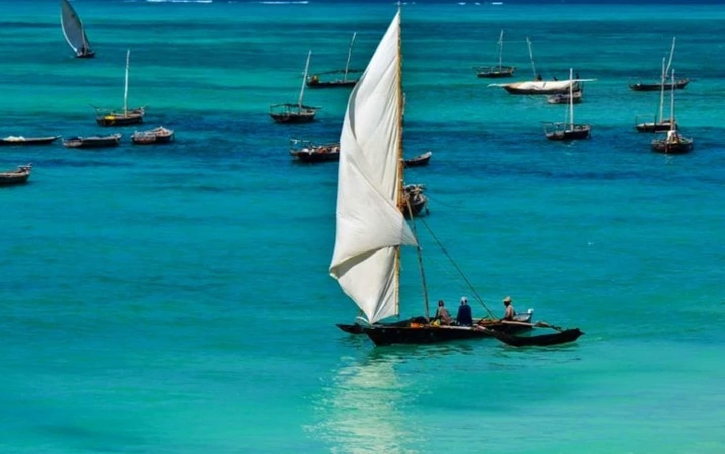Traditional Dhow Cruises — A Timeless Sailing Adventure