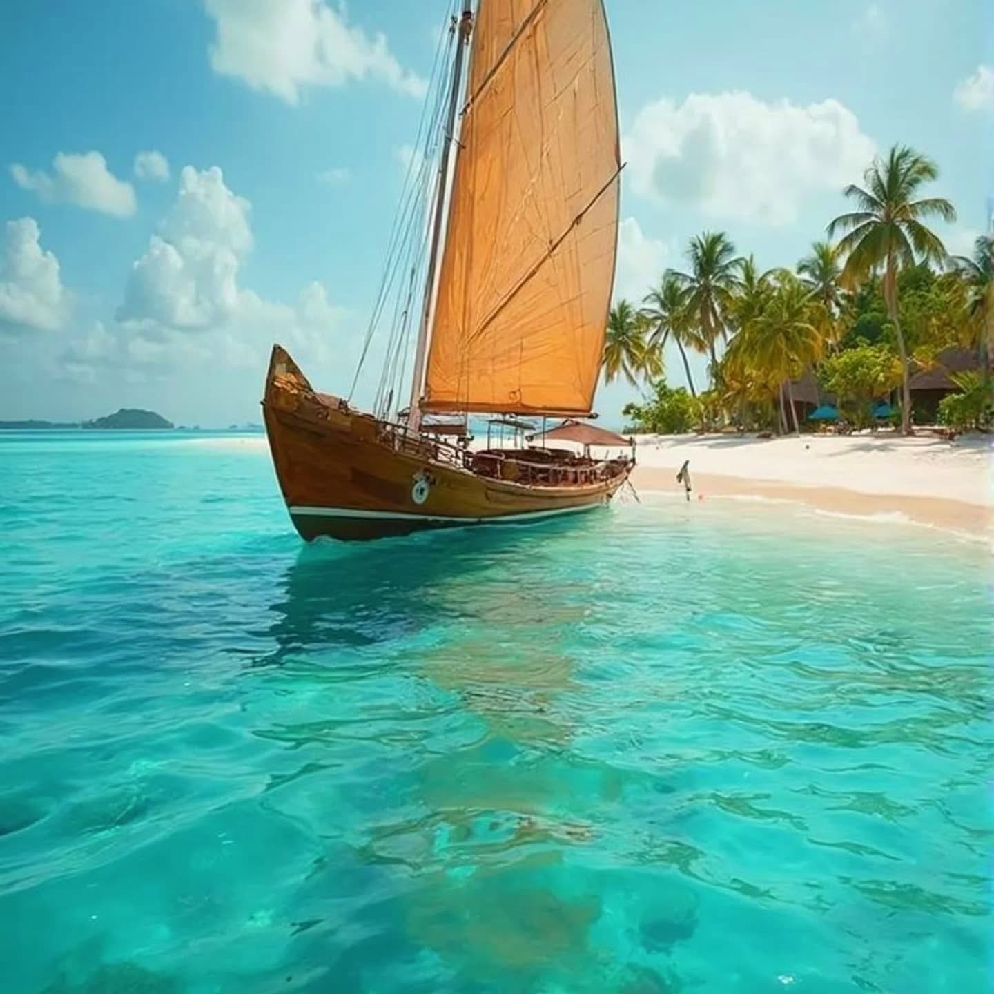 Traditional Dhow Cruises — A Timeless Sailing Adventure