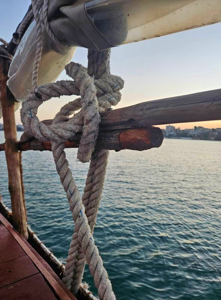 Traditional Dhow Cruises — A Timeless Sailing Adventure