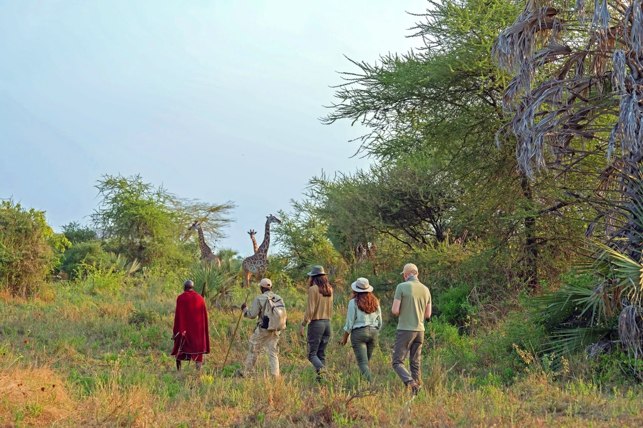 A walking safari guide with guests
