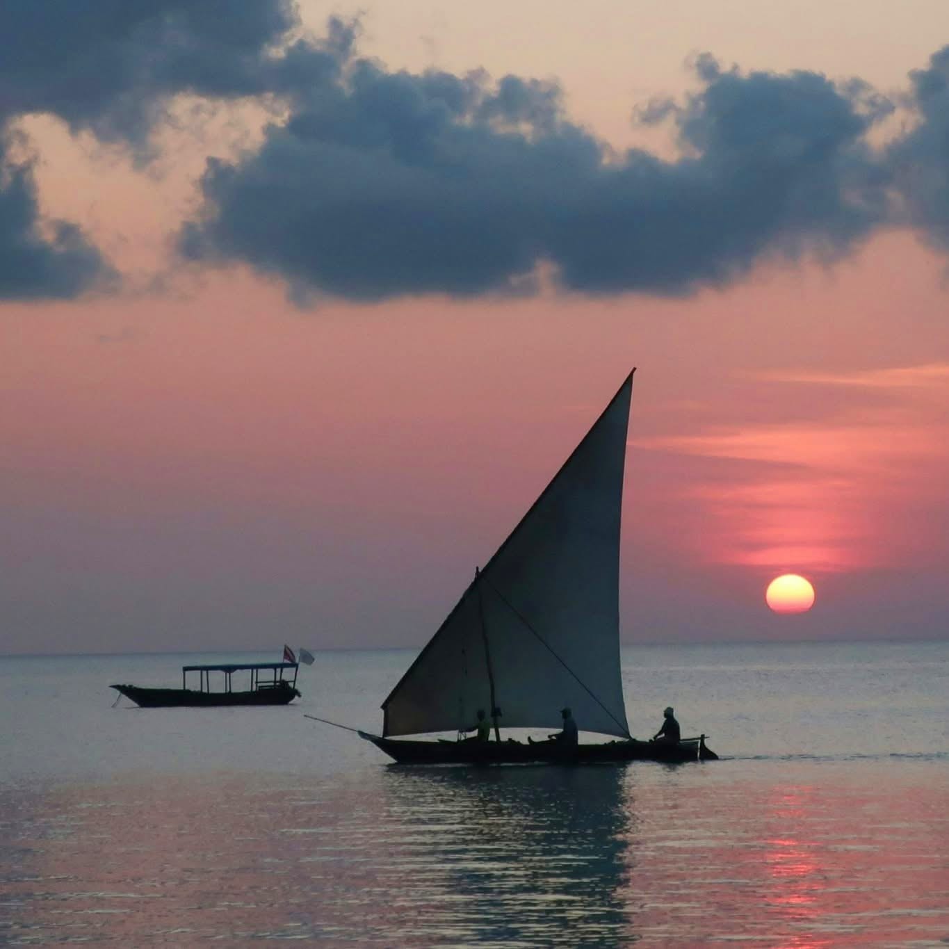 Bush and Beach Luxury Adventure Through Kenya and Tanzania. 11 Days/10 Nights