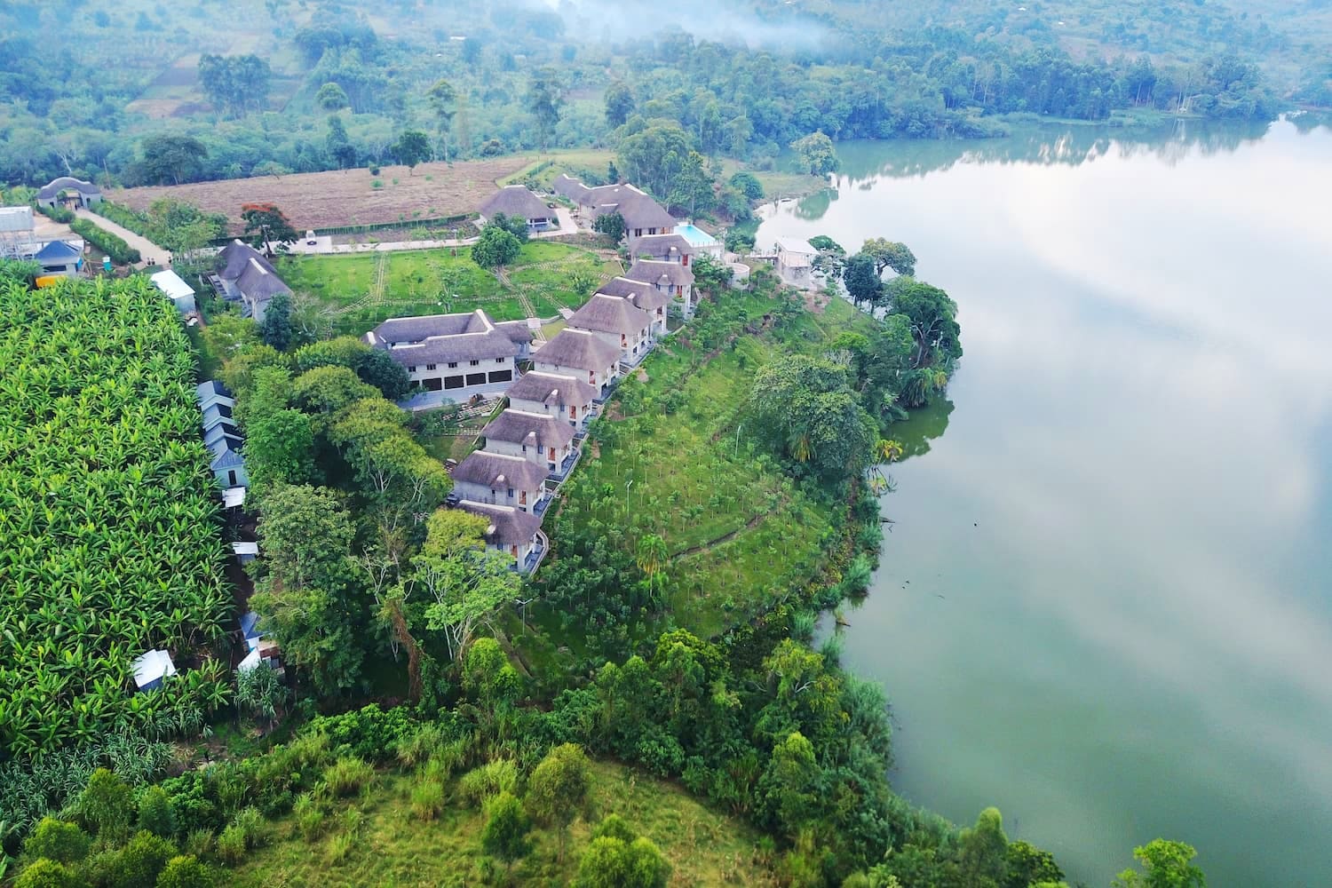 6 Days / 5 Nights Uganda Primate Safari: The Gorilla Trekking Experience