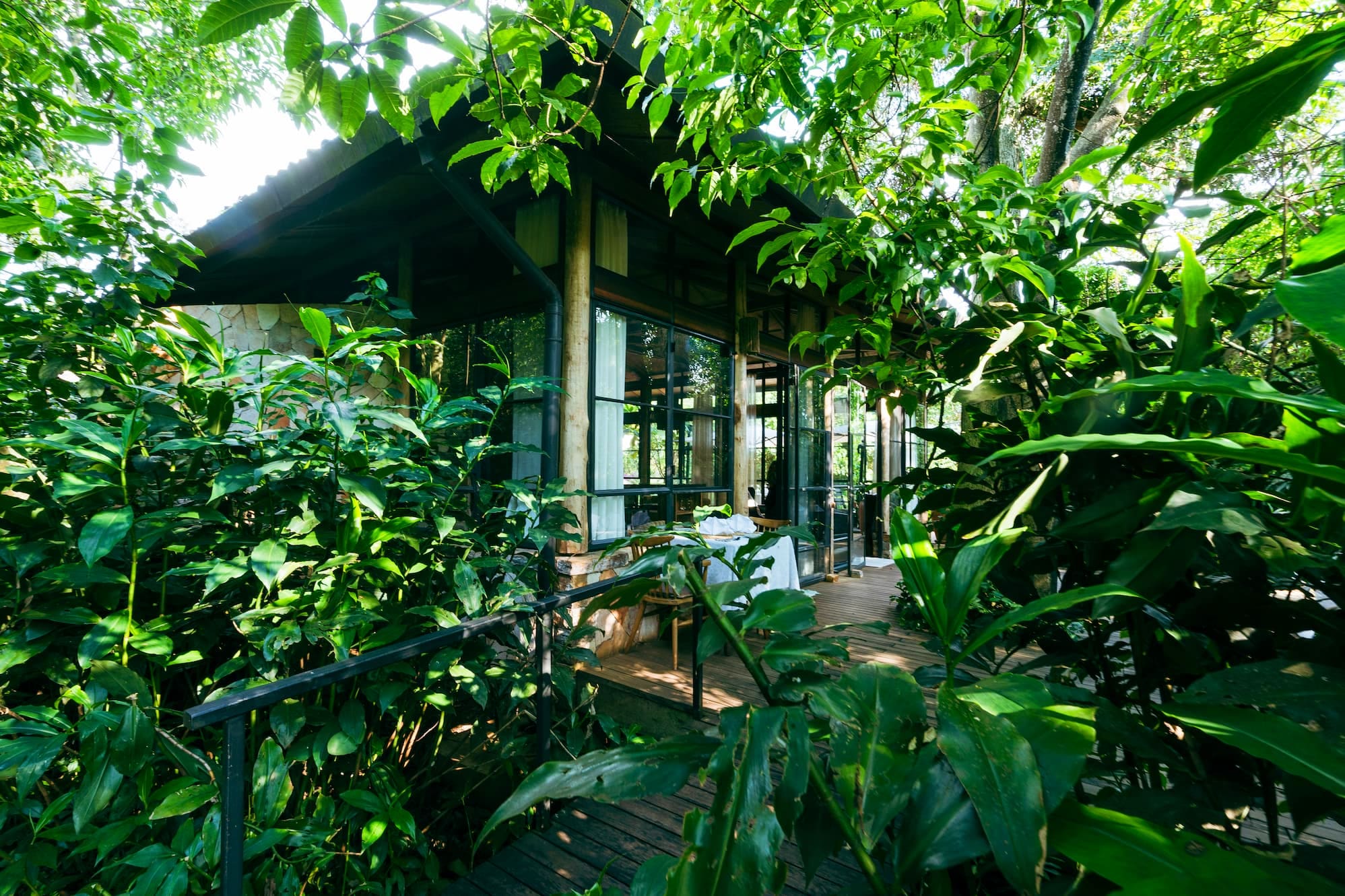 6 Days / 5 Nights Uganda Primate Safari: The Gorilla Trekking Experience