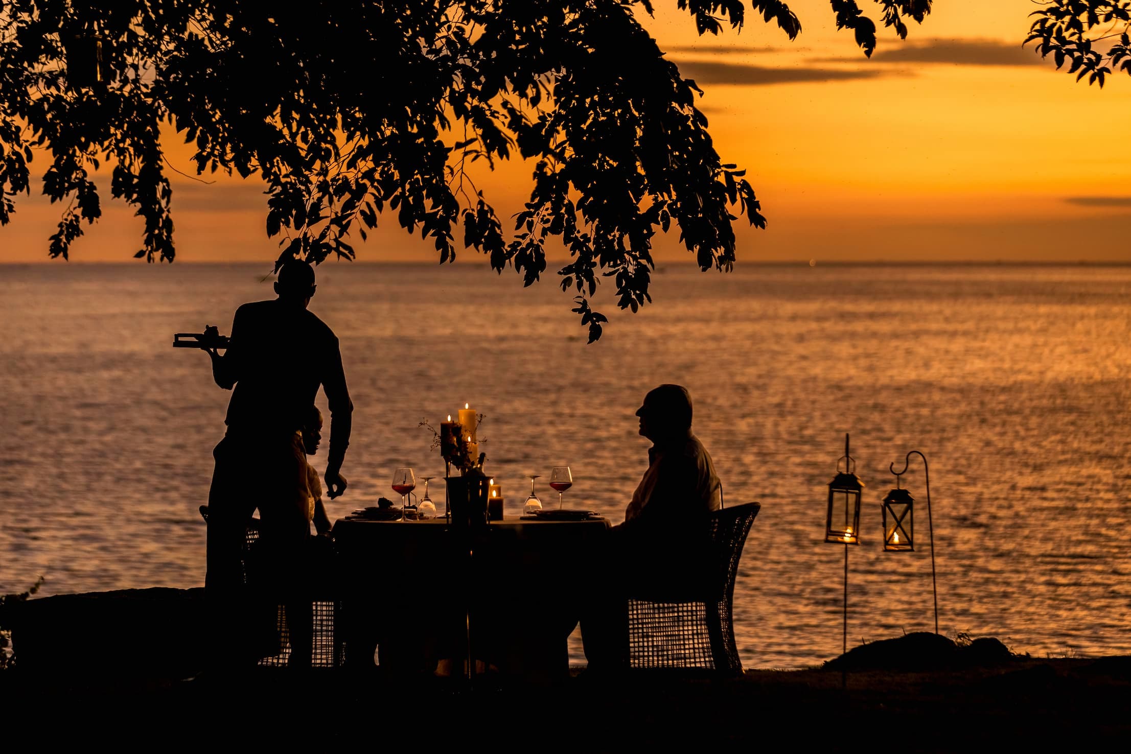 6 Days / 5 Nights Uganda Primate Safari: The Gorilla Trekking Experience
