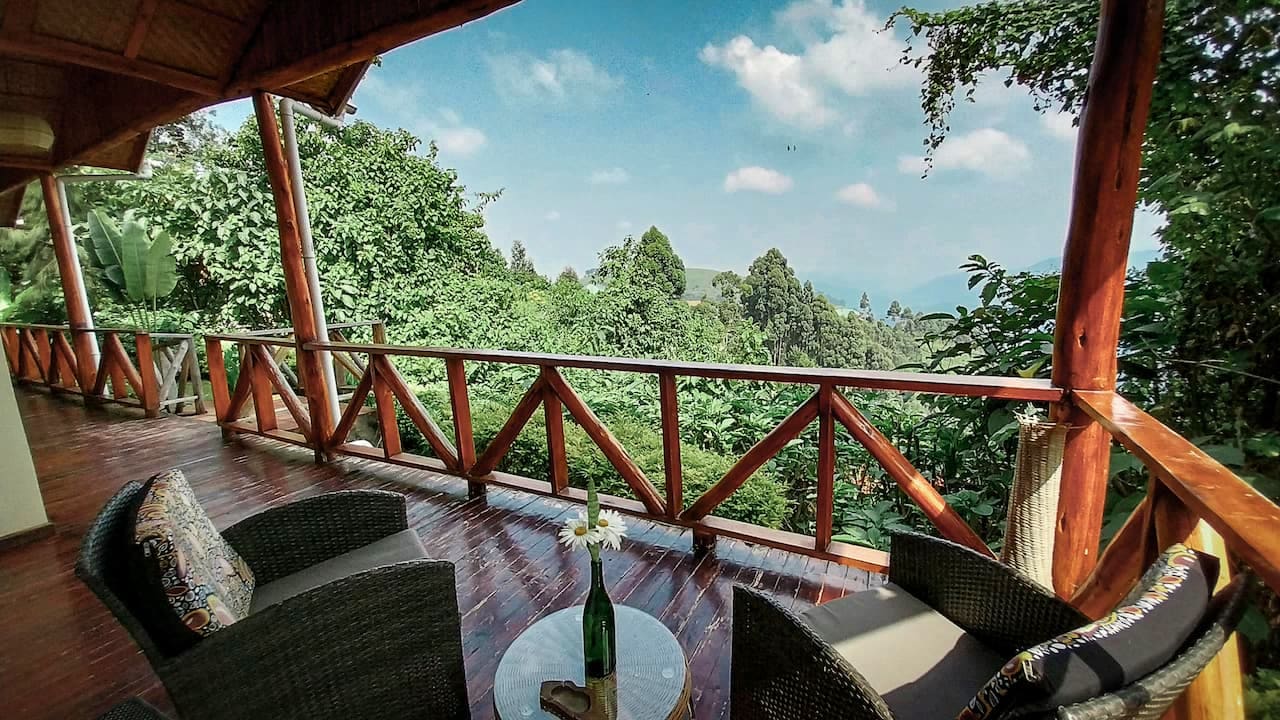 6 Days / 5 Nights Uganda Primate Safari: The Gorilla Trekking Experience