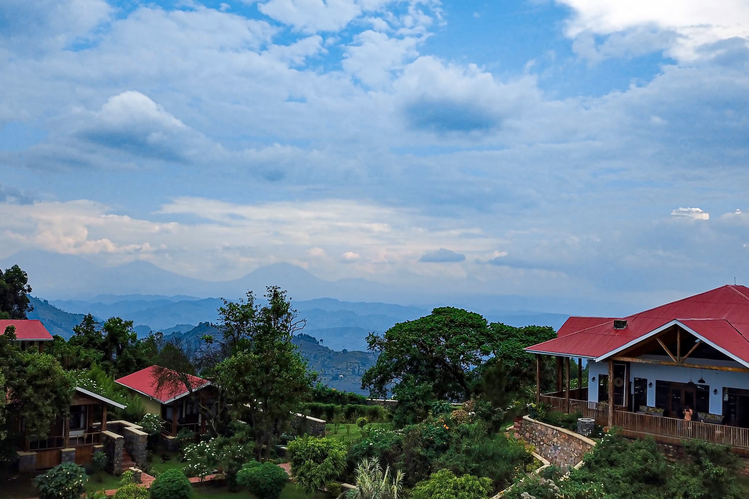 6 Days / 5 Nights Uganda Primate Safari: The Gorilla Trekking Experience