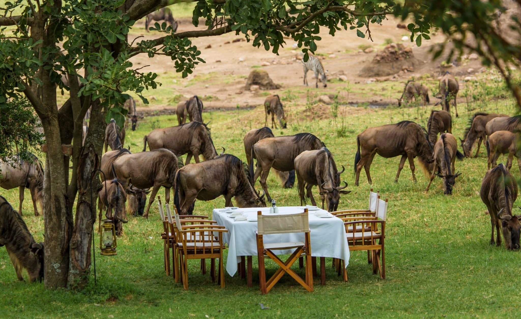 Bush dining