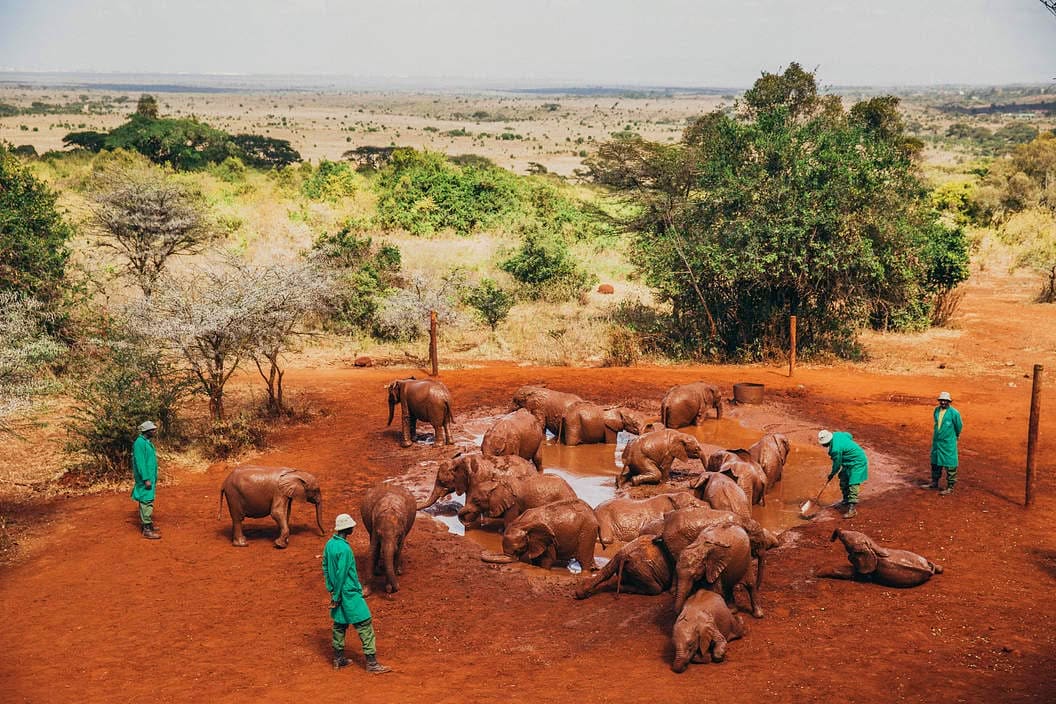 Conservation You Can Be Part Of