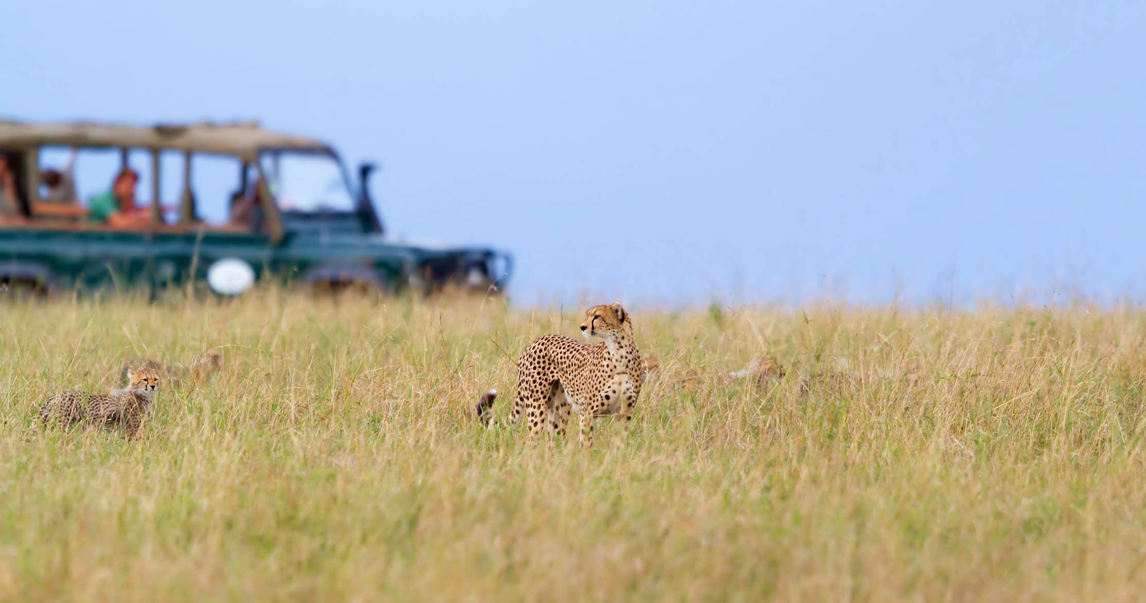 Maasai Mara — Low Season Group Joining Safari