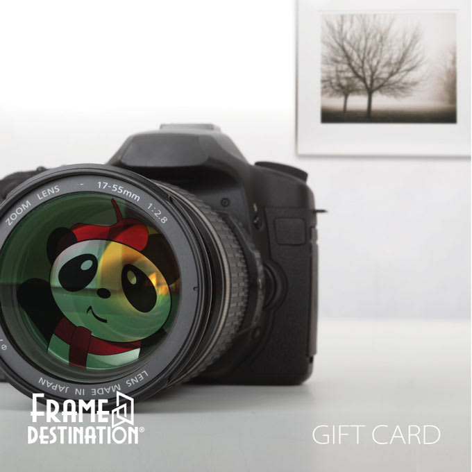 Lens Lover Gift Card