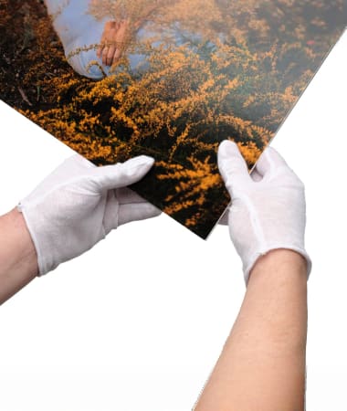 Lineco Cotton Darkroom Gloves