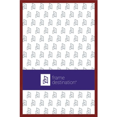 Metal Poster Frame in Vibrant Colors P117V