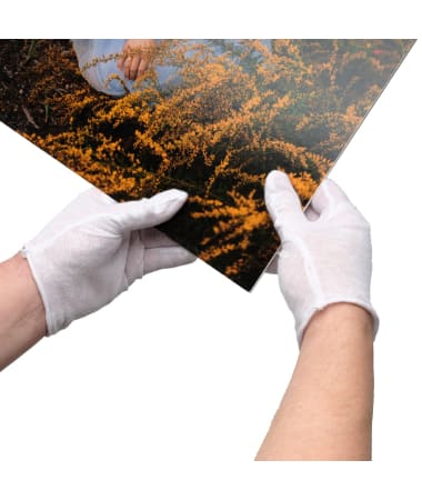 Lineco Cotton Darkroom Gloves