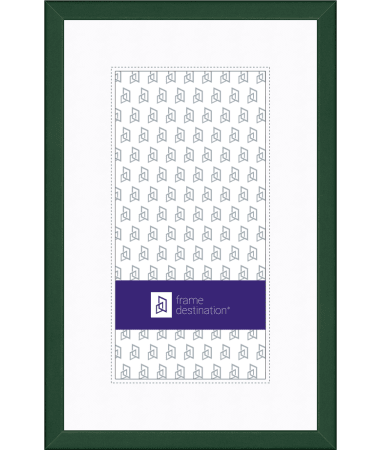 Landscape Picture Frame with Mat in Bold Matte Colors P235